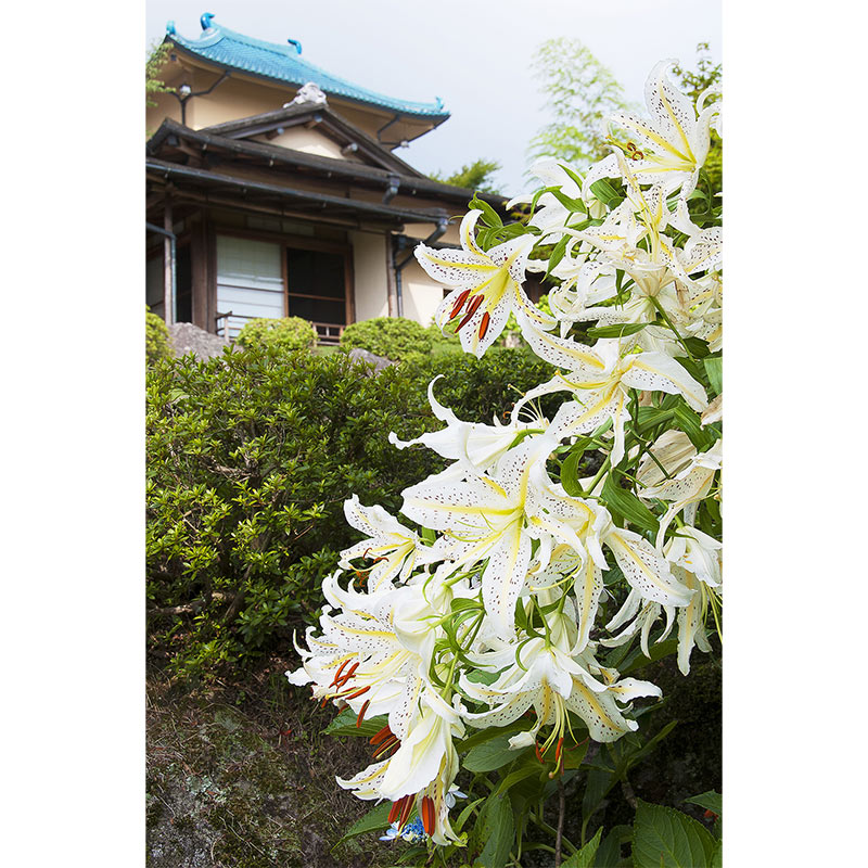 �ڼ������������ۥ����������ڥ��ȥ꡼��Ȣ�����Ѵۡ��ѻ���ȥ�ޥ�ꡡ���������ߢ�