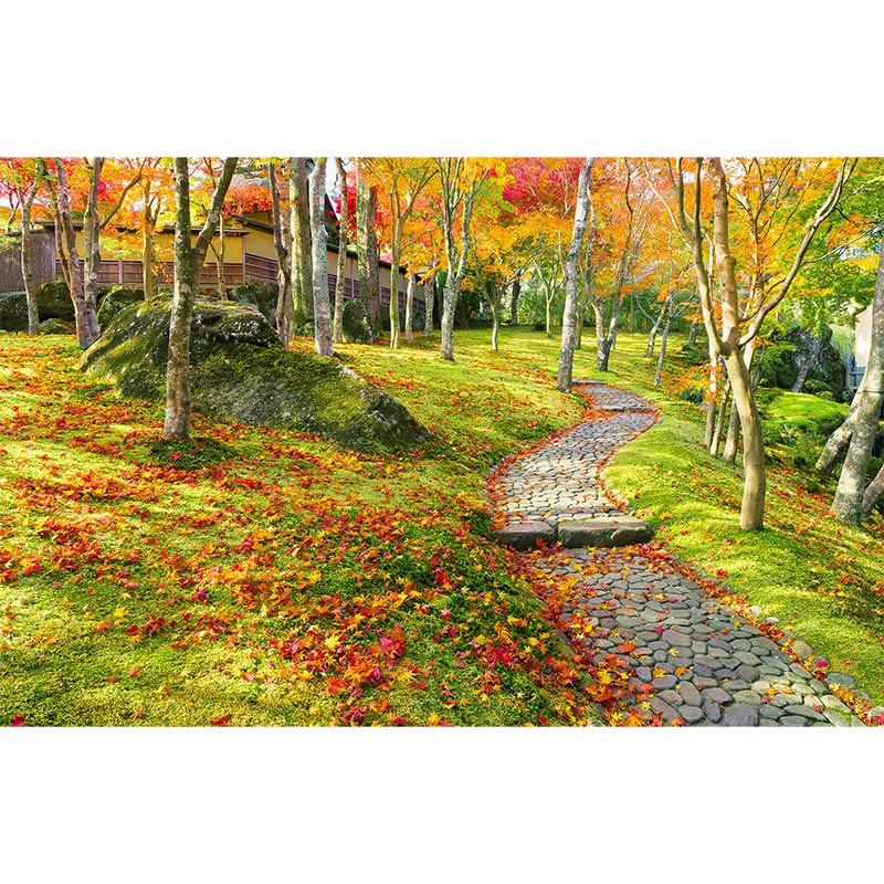 �ڼ������������ۥ����������ڥ��ȥ꡼��Ȣ�����Ѵۡ��ս������������������ߢ�