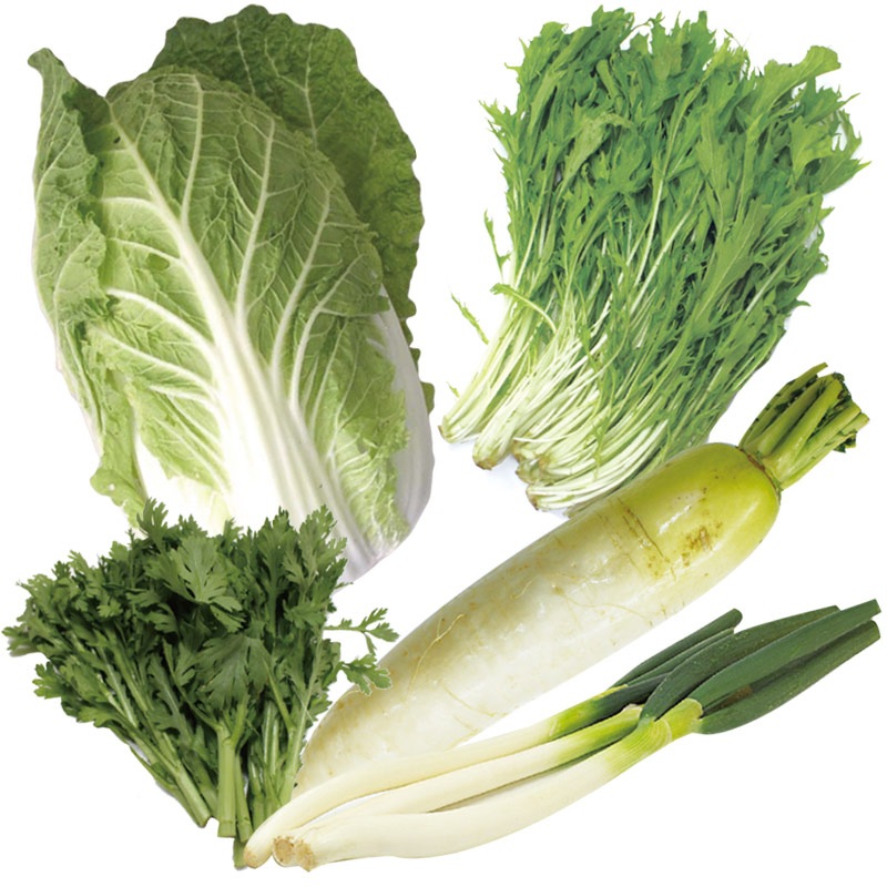 �ʤ���ڥ��åȡ���ڡ��纬����ͤ����յơ���ڡˡ���1/20�ʲСˡ�1/24���ڡˤޤǤΤ��Ϥ�