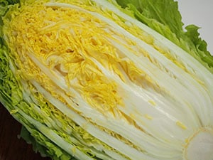 玉の白菜 楽天市場】【送料無料】【産地厳選】白菜 6玉入り 大玉 約15kg(北海道