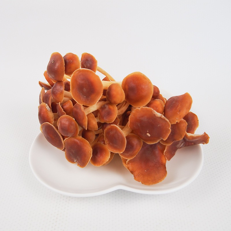 野生種えのき 約70g 12/9（火）～12/13（土）までのお届け | 野菜