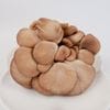 �Ҥ������󣶣��硡��4/21�ʲСˡ�4/25���ڡˤޤǤΤ��Ϥ�