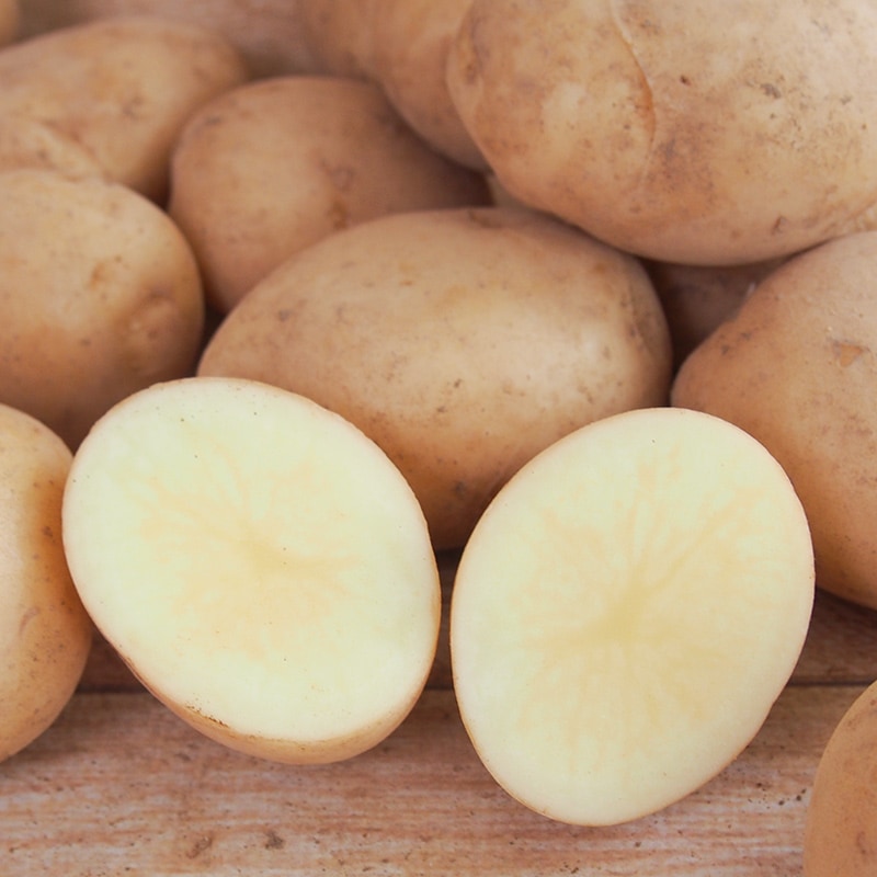 �ڻ���ľ����Ĺ�긩���������㤬���⡡�����դ��ϡ����������ߢ�