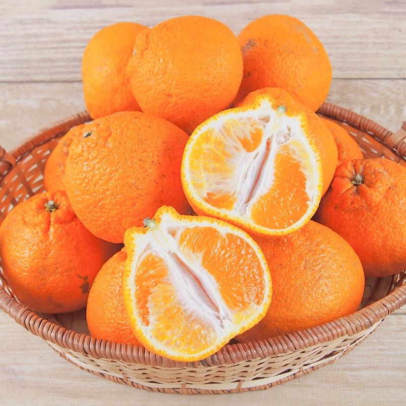 �ڻ���ľ���ۢ�����50Ȣ�����ܸ��������βСʤ���̤��ˣ���硡���������ߢ�