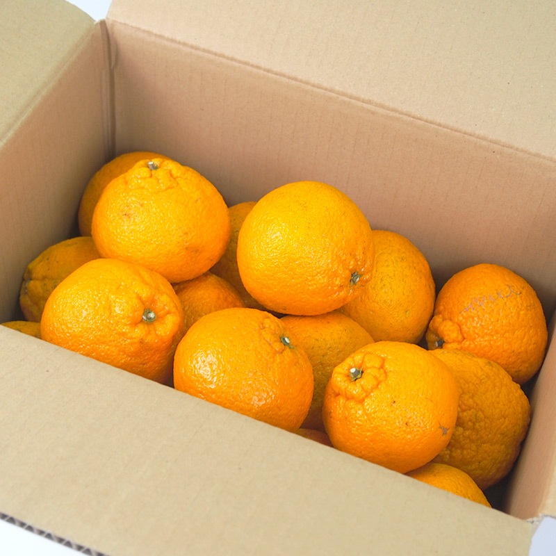 �ڻ���ľ���ۢ�����50Ȣ�����ܸ��������βСʤ���̤��ˣ���硡���������ߢ�