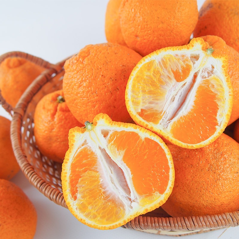 �ڻ���ľ���ۢ�����50Ȣ�����ܸ��������βСʤ���̤��ˣ���硡���������ߢ�