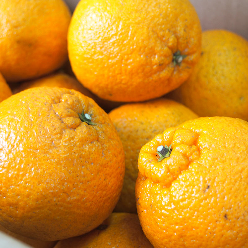 �ڻ���ľ���ۢ�����50Ȣ�����ܸ��������βСʤ���̤��ˣ���硡���������ߢ�