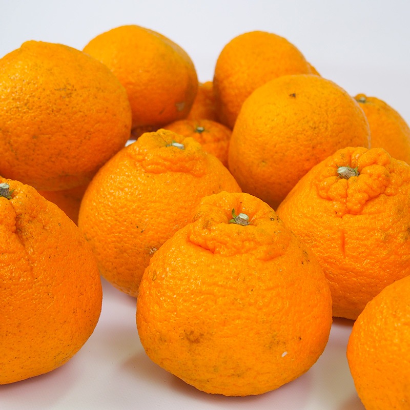 �ڻ���ľ���ۢ�����50Ȣ�����ܸ��������βСʤ���̤��ˣ���硡���������ߢ�