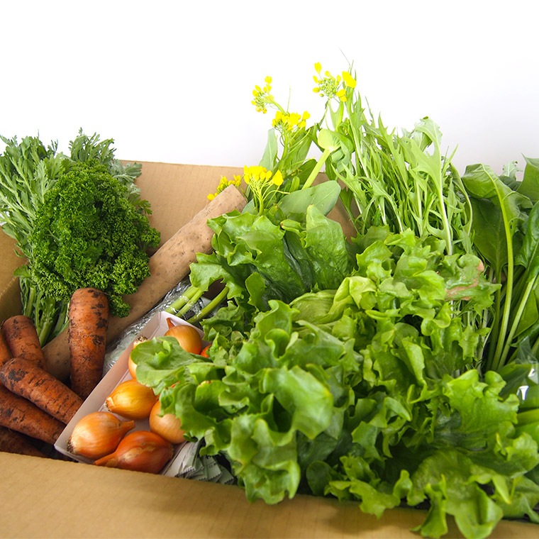 �ڻ���ľ�����Ŀ������������˥å��ե�å��奻�åȡ����������ߢ�