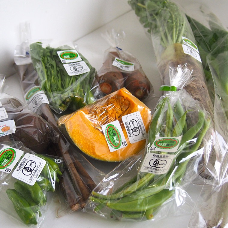 �ڻ���ľ�����Ŀ������������˥å��ե�å��奻�åȡ����������ߢ�