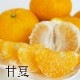 �ڻ���ľ���ۢ�����50Ȣ���Ų���������������Υ���󥸥��åȡ������ʣ���Ϥ�ʬ�ˡ����������ߢ�