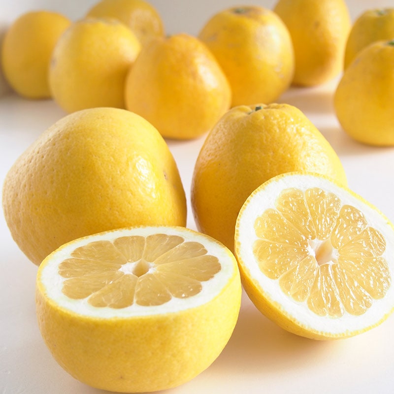 �ڻ���ľ���ۢ�����30Ȣ�����ܸ��������塼��������󥸡ʲ����մ��ˣ���硡���������ߢ�