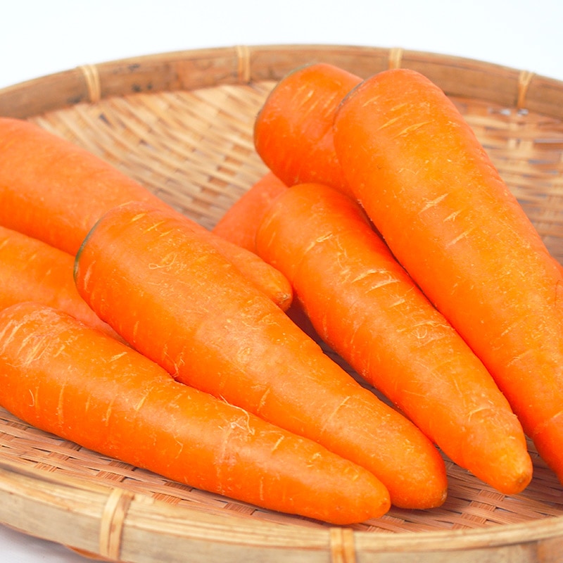 �ڻ���ľ����Ĺ�긩�������̤ͤ������̤ͤ������ͻ����åȡ����������ߢ�