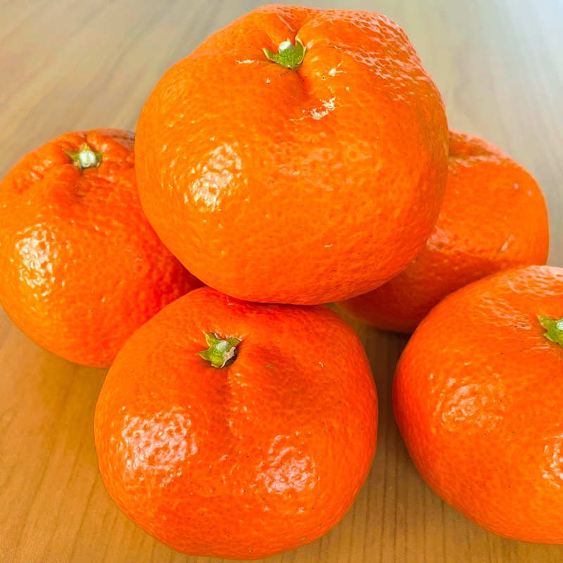 �ڻ���ľ���ۢ�����50Ȣ���Ų��������Ȥߤ��󡡢��������ߢ�