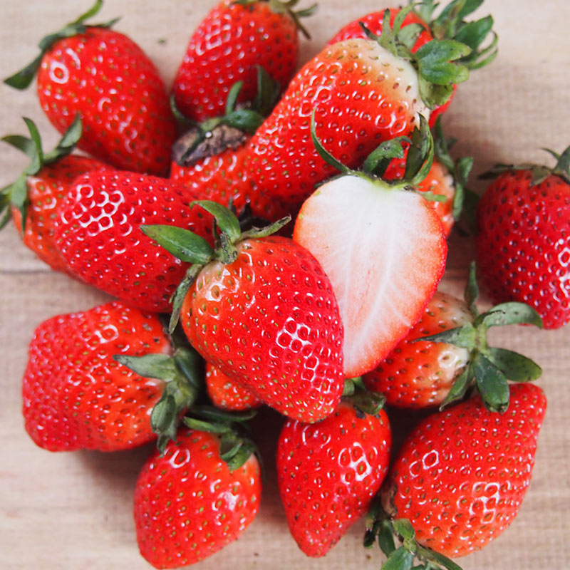 �ڻ���ľ���ۢ�����30Ȣ�������ܻ���ͭ��������������硡���ʡ����������ߢ�