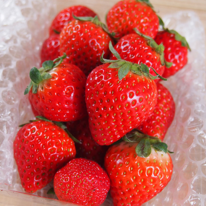 �ڻ���ľ���ۢ�����30Ȣ�������ܻ���ͭ��������������硡���ʡ����������ߢ�