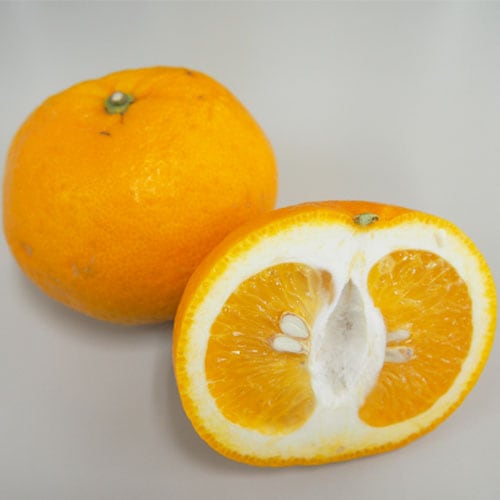 �ڻ���ľ����ʼ�˸������Ųơ����������ߢ�