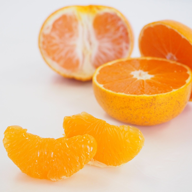 �ڻ���ľ���ۢ�����100Ȣ����ɲ�����������ߤ��󡡢��������ߢ�