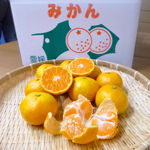 �ڻ���ľ���ۢ�����100Ȣ����ɲ�����������ߤ��󡡢��������ߢ�