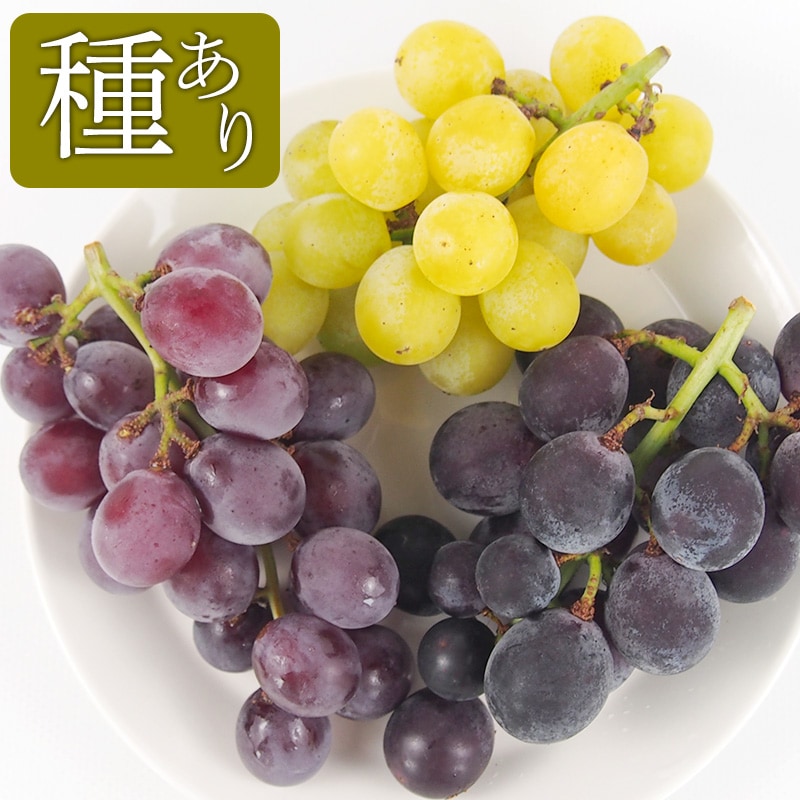 �ڻ���ľ���ۢ�����30Ȣ���ܾ븩����ͭ���֤ɤ����åȡ��ʼ���ޤ���������ʾ�ˡʼ濫��ˣ���硡���������ߢ�