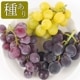 �ڻ���ľ���ۢ�����30Ȣ���ܾ븩����ͭ���֤ɤ����åȡ��ʼ���ޤ���������ʾ�ˡʼ濫��ˣ���硡���������ߢ�