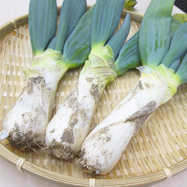 ڻľ۷ϸƣβĤͤդϡ硡ߢ