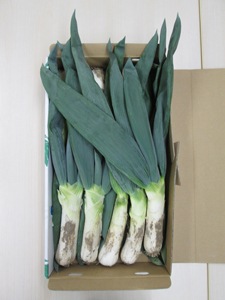 ڻľ۷ϸƣβĤͤդϡ硡ߢ