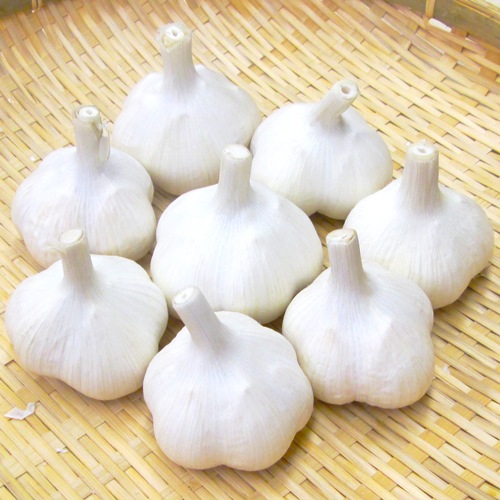 �ڻ���ľ�����Ŀ��������ˤ�ˤ������������ߢ�