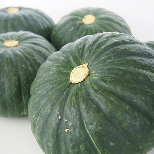 �ڻ���ľ���۶彣�������ܤ���������㤬����������ޤͤ����åȡ�����硡���������ߢ�