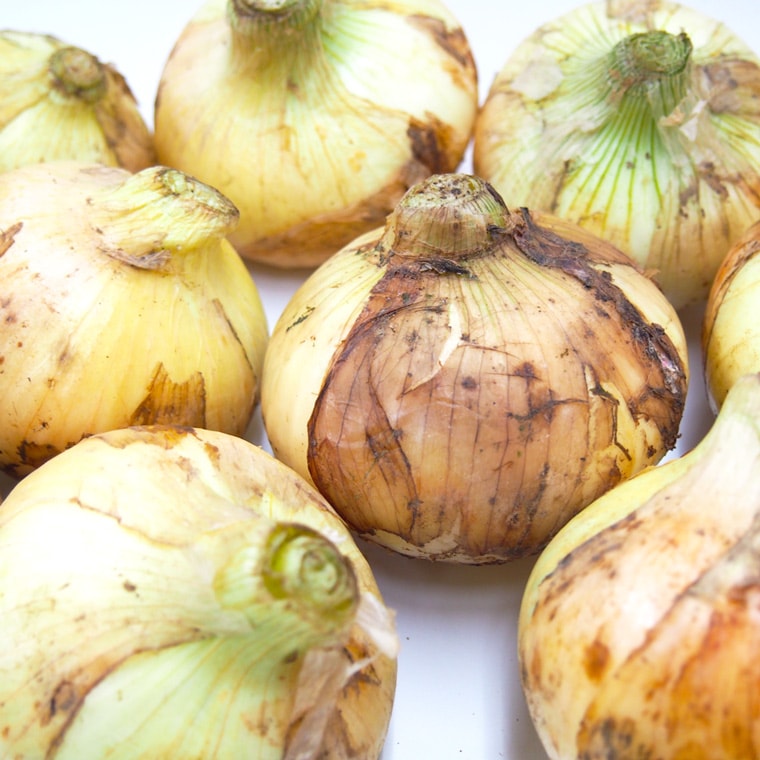 �ڻ���ľ���۶彣�������ܤ���������㤬����������ޤͤ����åȡ�����硡���������ߢ�