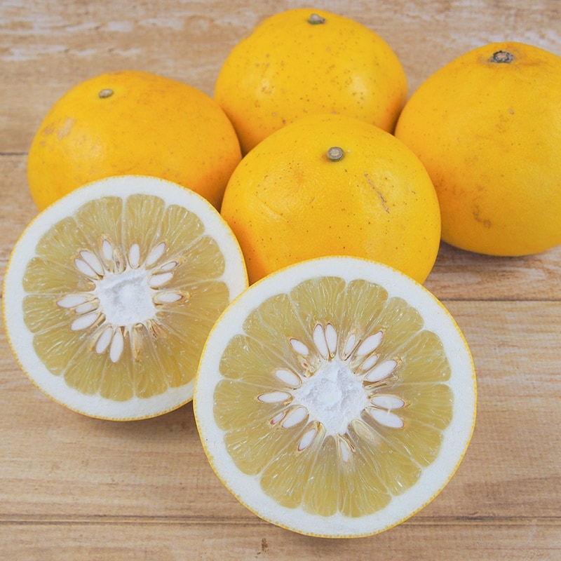 �ڻ���ľ���ۢ�����30Ȣ�����ܸ������ѡ��봻������硡���������ߢ�