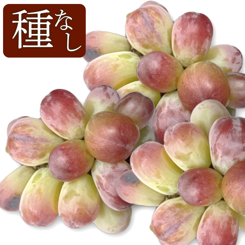 �ڻ���ľ���ۢ�����30Ȣ���ܾ븩�����֤ɤ����Х�����åȥ��󥰡ʼ�ʤ��ˣ���硡���������ߢ�