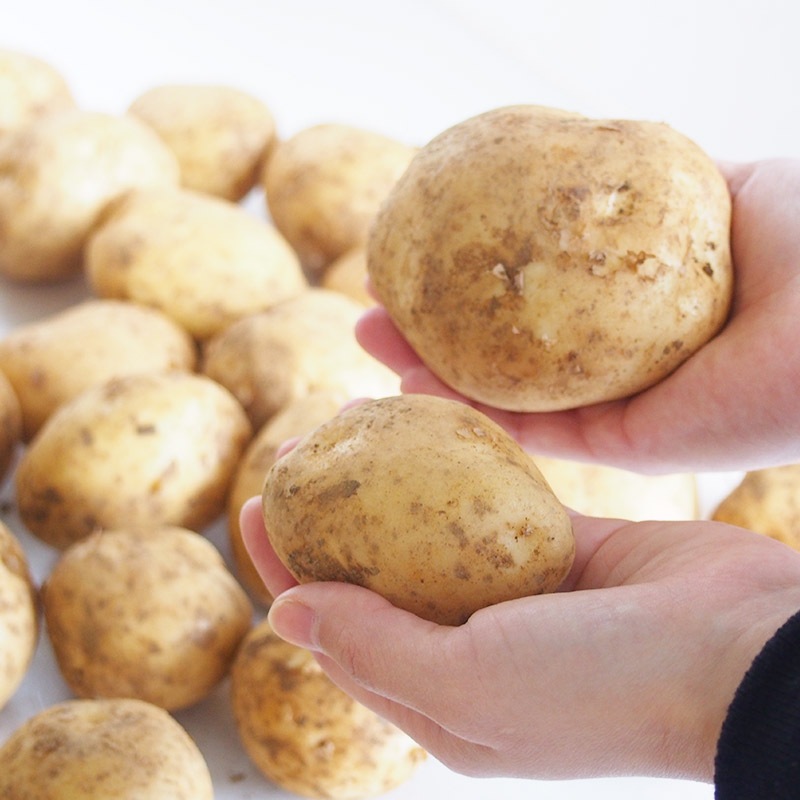 �ڻ���ľ���ۢ�����50Ȣ�������縩���������㤬����ʽ���⤷���ϥ�����ɥ᡼���ˡ�����硡�����դ��ϡ����������ߢ�