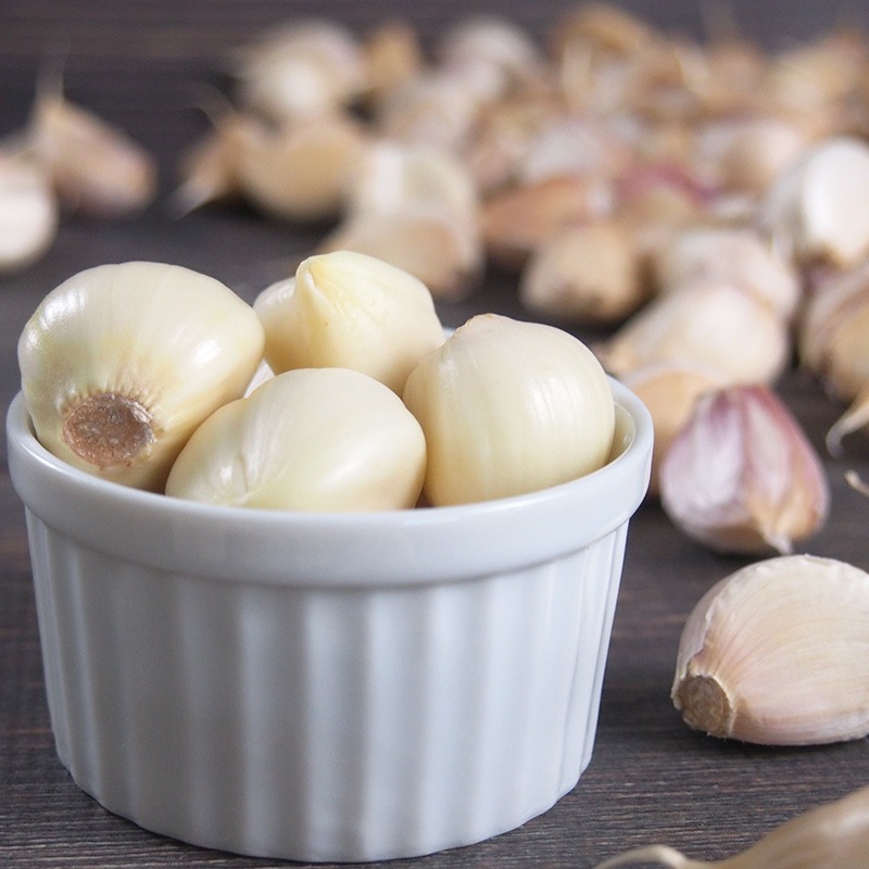 �ڻ���ľ�����Ŀ��������ˤ�ˤ��ʥХ�ͤ�ˣ���硡���������ߢ�