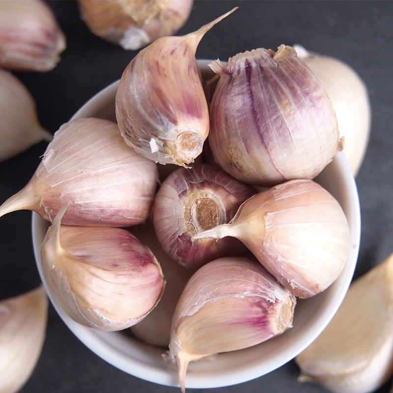 �ڻ���ľ�����Ŀ��������ˤ�ˤ��ʥХ�ͤ�ˣ���硡���������ߢ�