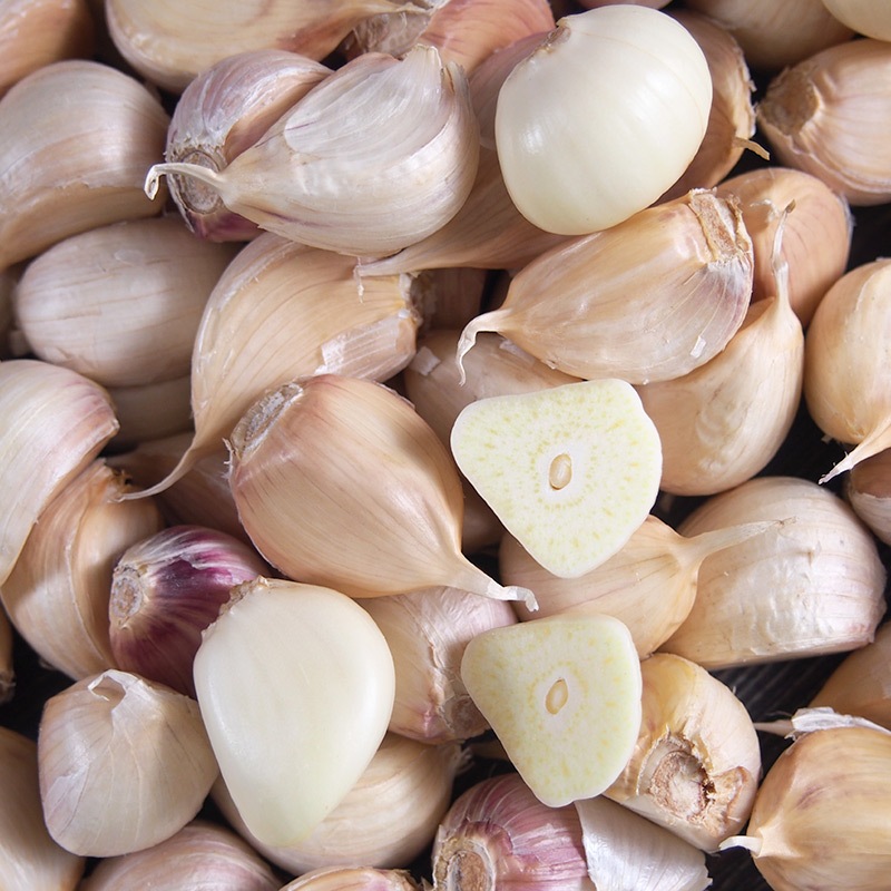 �ڻ���ľ�����Ŀ��������ˤ�ˤ��ʥХ�ͤ�ˣ���硡���������ߢ�