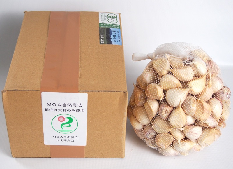 �ڻ���ľ�����Ŀ��������ˤ�ˤ��ʥХ�ͤ�ˣ���硡���������ߢ�