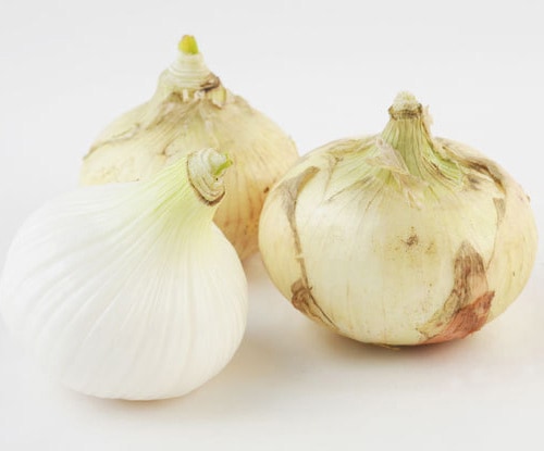 �ڻ���ľ���ۺ�̸��������椵��ο����ޤͤ������������ߢ�