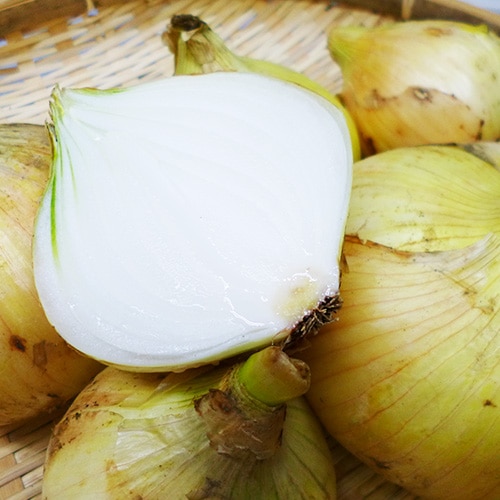 �ڻ���ľ���ۺ�̸��������椵��ο����ޤͤ������������ߢ�