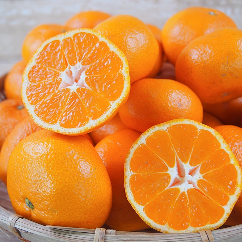 �ڻ���ľ�����Ų��������������ߤ�������ߤ��󡡢��������ߢ�