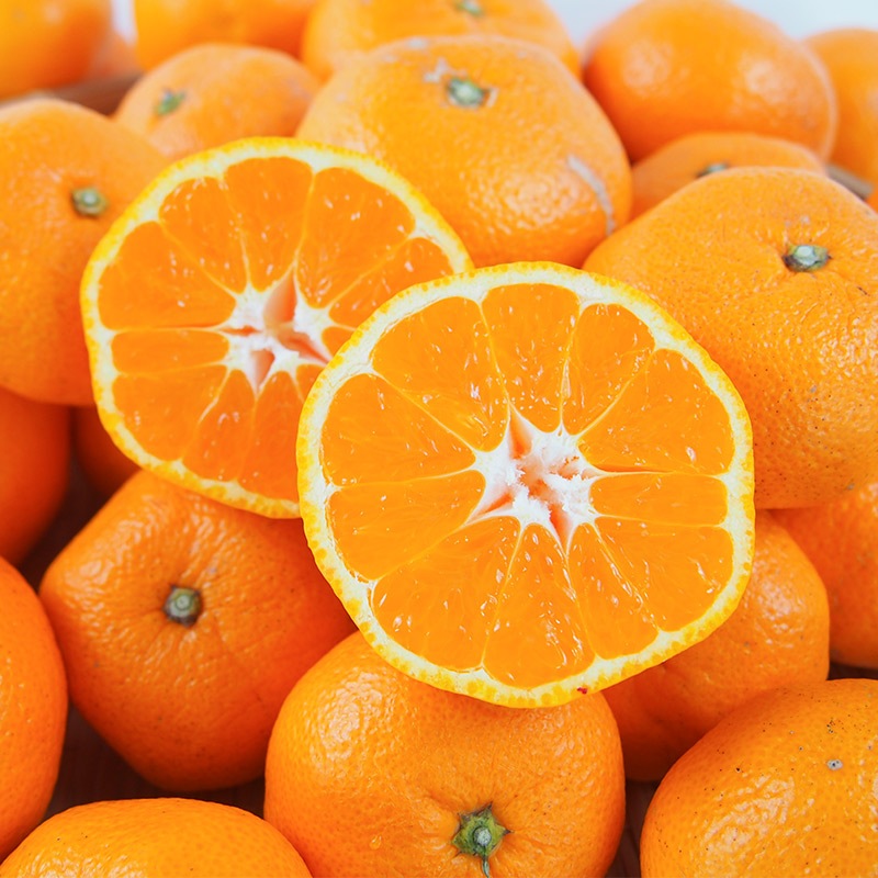 �ڻ���ľ�����Ų��������������ߤ�������ߤ��󡡢��������ߢ�