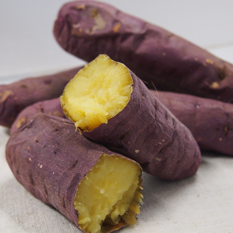 �ڻ���ľ�����Ų����������Ĥޤ��⡡�ȤϤ뤫�������դ��ϡ�����硡���������ߢ�