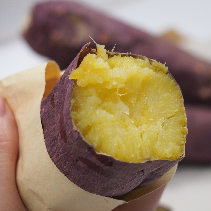 �ڻ���ľ�����Ų����������Ĥޤ��⡡�ȤϤ뤫�������դ��ϡ�����硡���������ߢ�