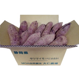 �ڻ���ľ�����Ų����������Ĥޤ��⡡�ȤϤ뤫�������դ��ϡ�����硡���������ߢ�