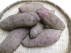 �ڻ���ľ�����Ų����������Ĥޤ��⡡�ȤϤ뤫�������դ��ϡ�����硡���������ߢ�