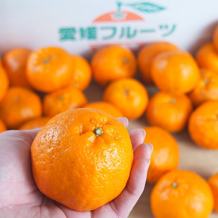 �ڻ���ľ���ۢ�����30Ȣ����ɲ�������ݥ󥫥󡡢��������ߢ�