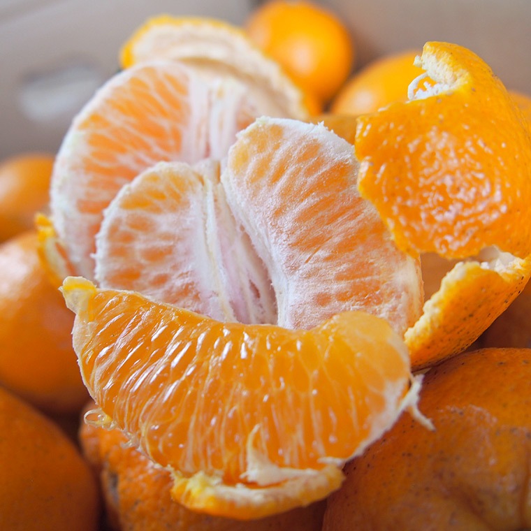 �ڻ���ľ���ۢ�����30Ȣ����ɲ�������ݥ󥫥󡡢��������ߢ�