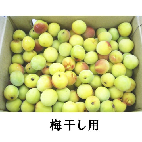 �ڻ���ľ���ۢ�����100Ȣ�����ɸ�������������ߡ����������ߢ�