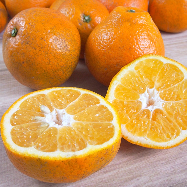 �ڻ���ľ���ۢ�����30Ȣ����ɲ��������ͽ���ʤ��褫��ˡ����������ߢ�