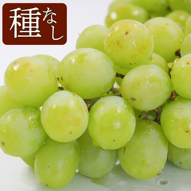 �ڻ���ľ���ۢ�����20Ȣ���ܾ븩�����֤ɤ������㥤��ޥ����åȡʼ�ʤ��ˣ���硡���������ߢ�
